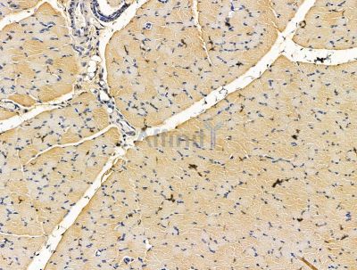 Валидация Affinity DF15604 - 12030