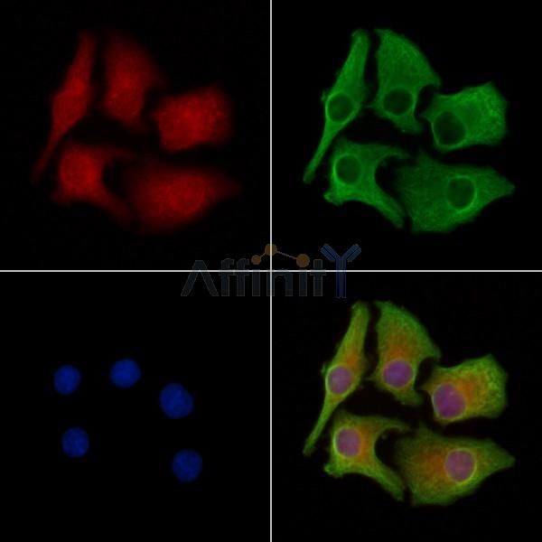 Валидация Affinity DF3891 - 15057