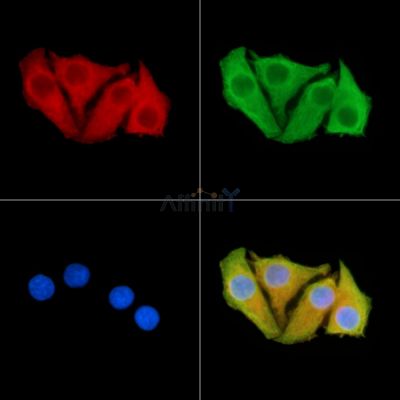 Валидация Affinity DF14208 - 10041