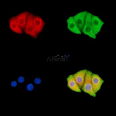 Валидация Affinity DF13761 - 9423