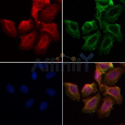 Валидация Affinity DF3088 - 13837