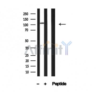 Валидация Affinity AF4765 - 2384