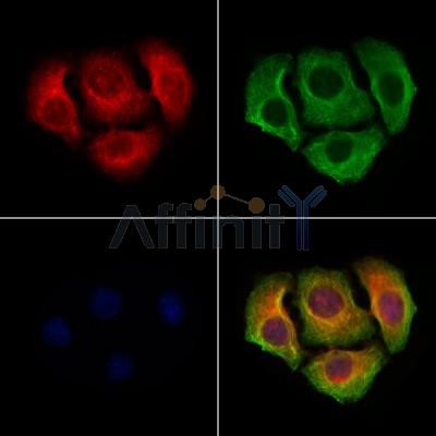 Валидация Affinity AF3479 - 2001