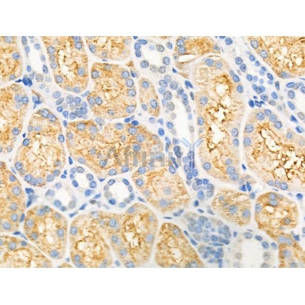 Валидация Affinity DF13368 - 8600