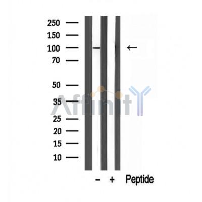 Валидация Affinity DF12109 - 6238