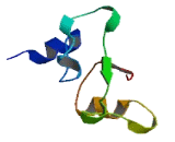 Olfactory Receptor 1I1 (OR1I1) Olfactory Receptor 1I1 (OR1I1)
