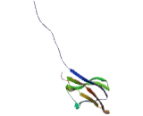 Neurotrophic Tyrosine Kinase Receptor Type 2 (NTRK2)