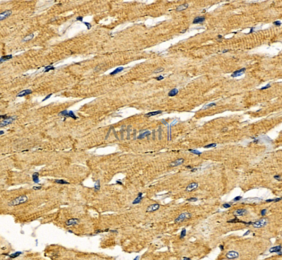 Валидация Affinity DF3617 - 14590