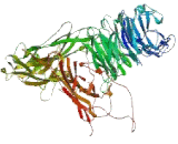 Integrin Alpha 6 (ITGa6) Integrin Alpha 6 (ITGa6)