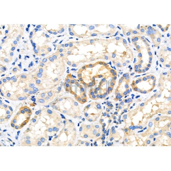 Валидация Affinity DF7607 - 19379