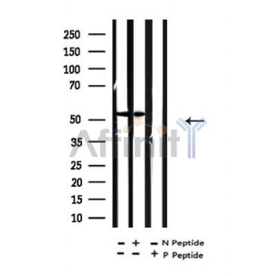 Валидация Affinity AF4351 - 2177