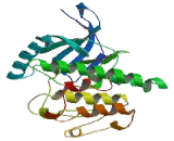 Nuclear Receptor Binding Protein 1 (NRBP1) Nuclear Receptor Binding Protein 1 (NRBP1)