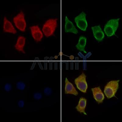 Валидация Affinity DF6791 - 18361