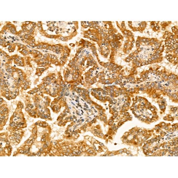 Валидация Affinity AF5491 - 3175