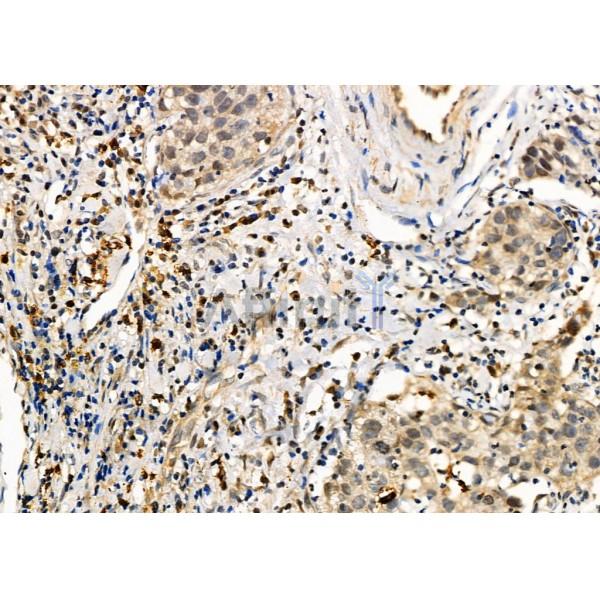 Валидация Affinity DF6436 - 17808