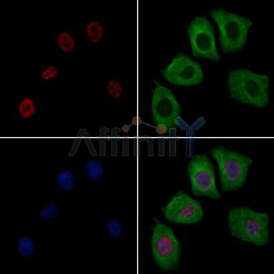 Валидация Affinity AF6381 - 3677