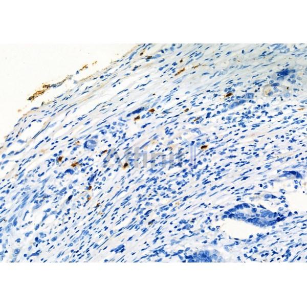 Валидация Affinity AF5126 - 2500