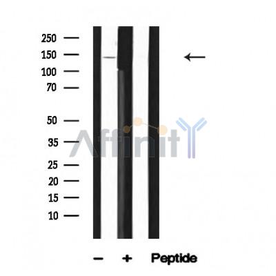 Валидация Affinity AF4612 - 2224