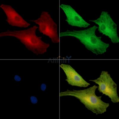 Валидация Affinity DF16025 - 12572