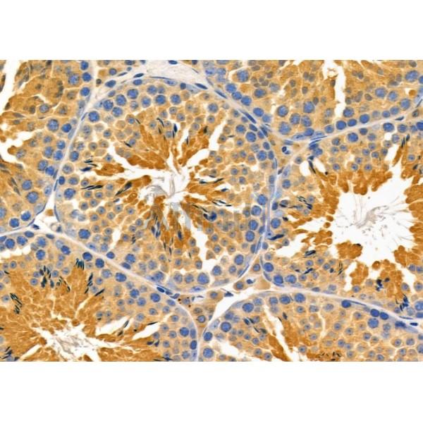 Валидация Affinity DF10069 - 5547