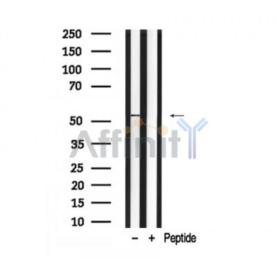 Валидация Affinity AF7919 - 4666