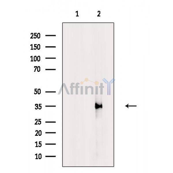 Валидация Affinity DF3890 - 15053