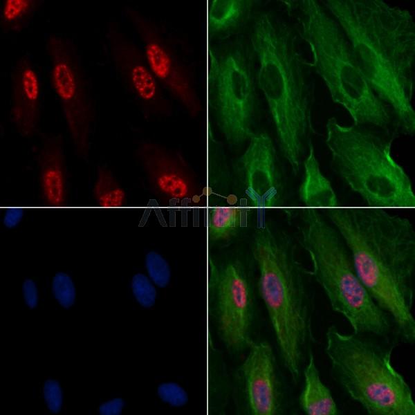 Валидация Affinity AF6235 - 3475