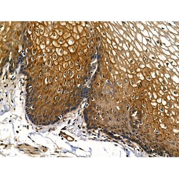 Валидация Affinity AF5182 - 2613