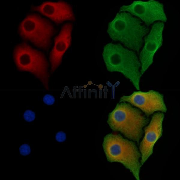 Валидация Affinity DF8248 - 20088