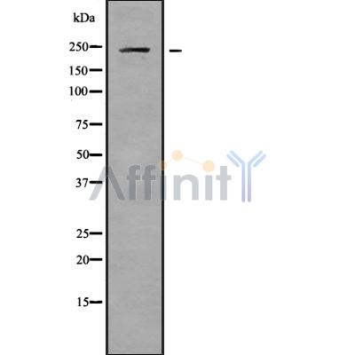 Валидация Affinity DF10012 - 5452