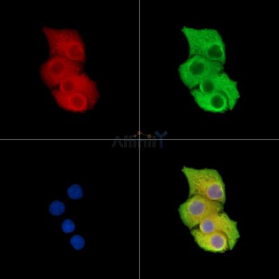 Валидация Affinity DF15473 - 11840