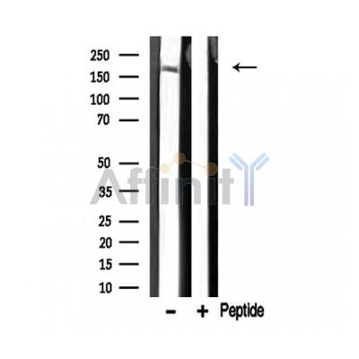 Валидация Affinity DF3294 - 14160