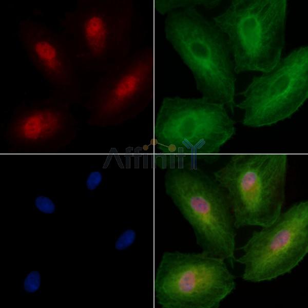 Валидация Affinity DF3100 - 13857