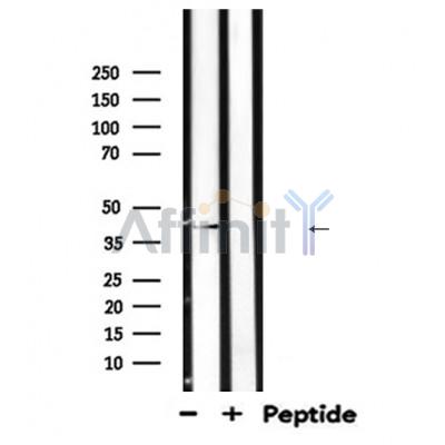 Валидация Affinity DF7766 - 19585