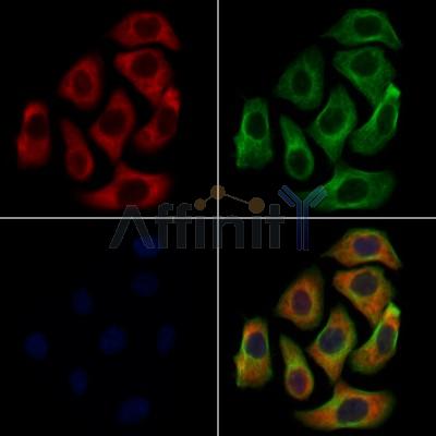 Валидация Affinity AF7778 - 4490