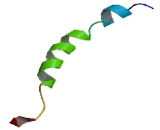 Histamine Receptor H2 (HRH2) Histamine Receptor H2 (HRH2)