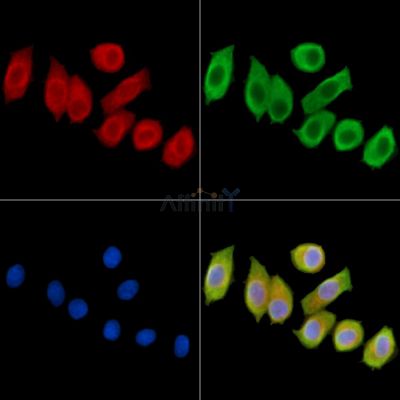 Валидация Affinity DF14459 - 10436