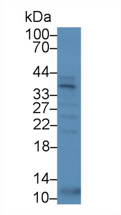 9773
