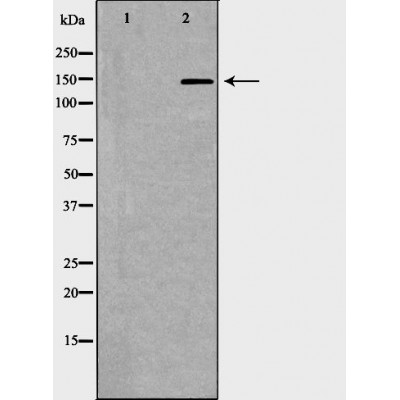 Валидация Affinity DF6839 - 18407