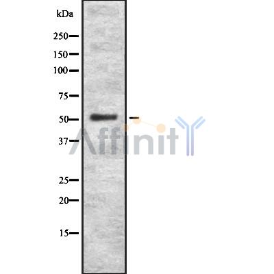 Валидация Affinity DF8357 - 20214
