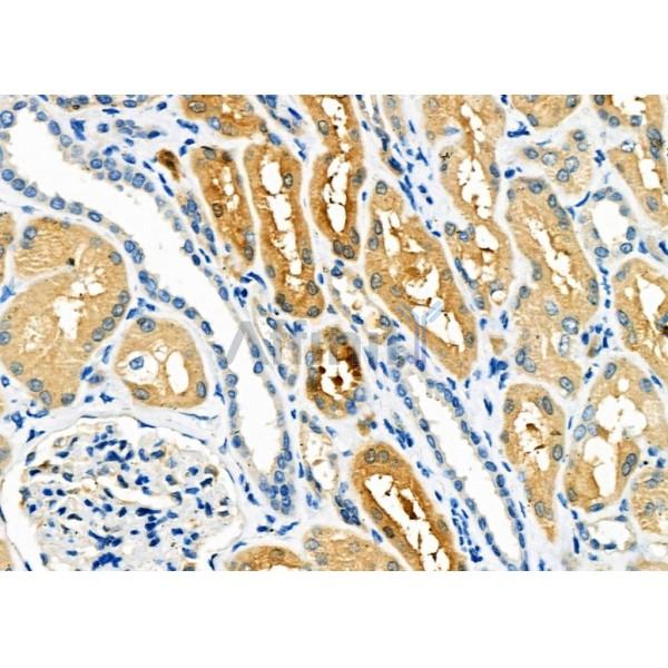 Валидация Affinity DF6765 - 18333