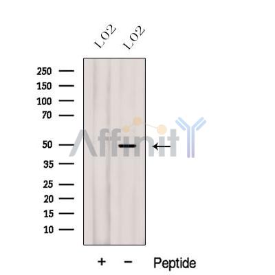 Валидация Affinity DF12614 - 7241