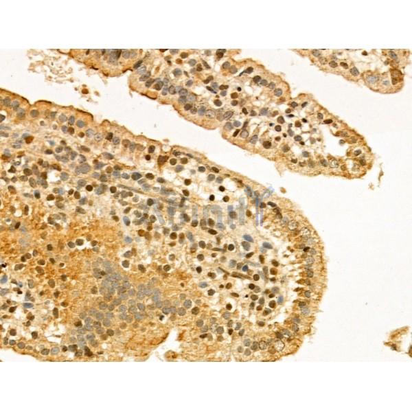 Валидация Affinity DF13089 - 7975