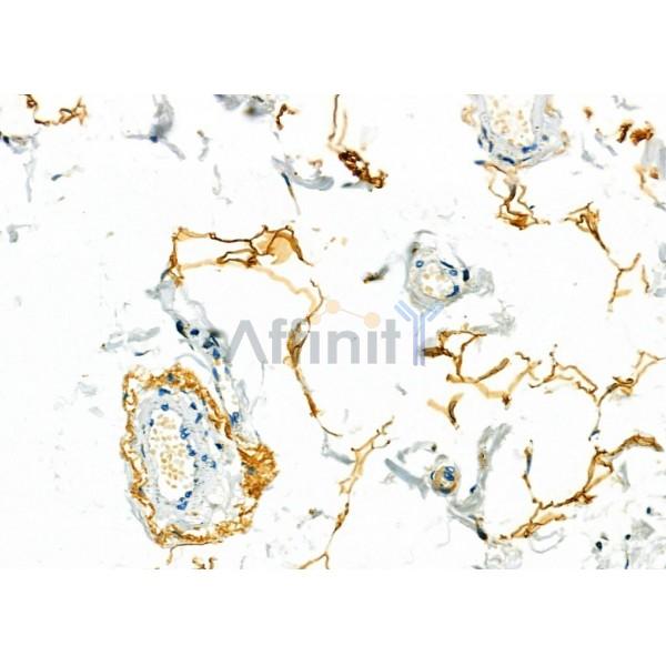 Валидация Affinity DF7602 - 19374