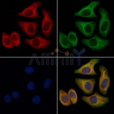 Валидация Affinity DF6455 - 17840