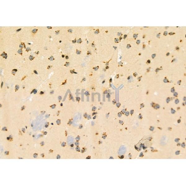 Валидация Affinity DF12377 - 6838