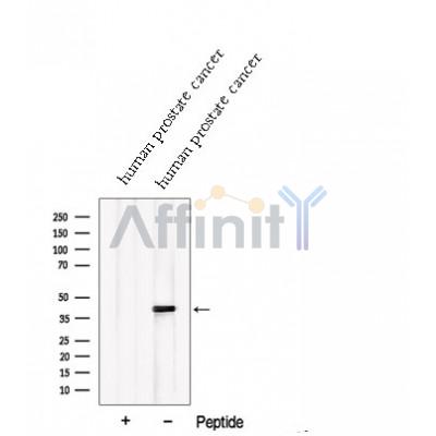 Валидация Affinity DF12690 - 7350