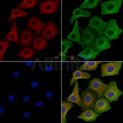 Валидация Affinity DF3960 - 15169