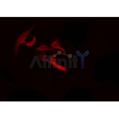 Валидация Affinity DF6532 - 17957