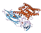 Delta-Endotoxin (Cry)